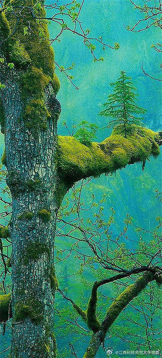 4、激光焊接設備在焊接環(huán)節(jié)中必須掌握什么關(guān)鍵點