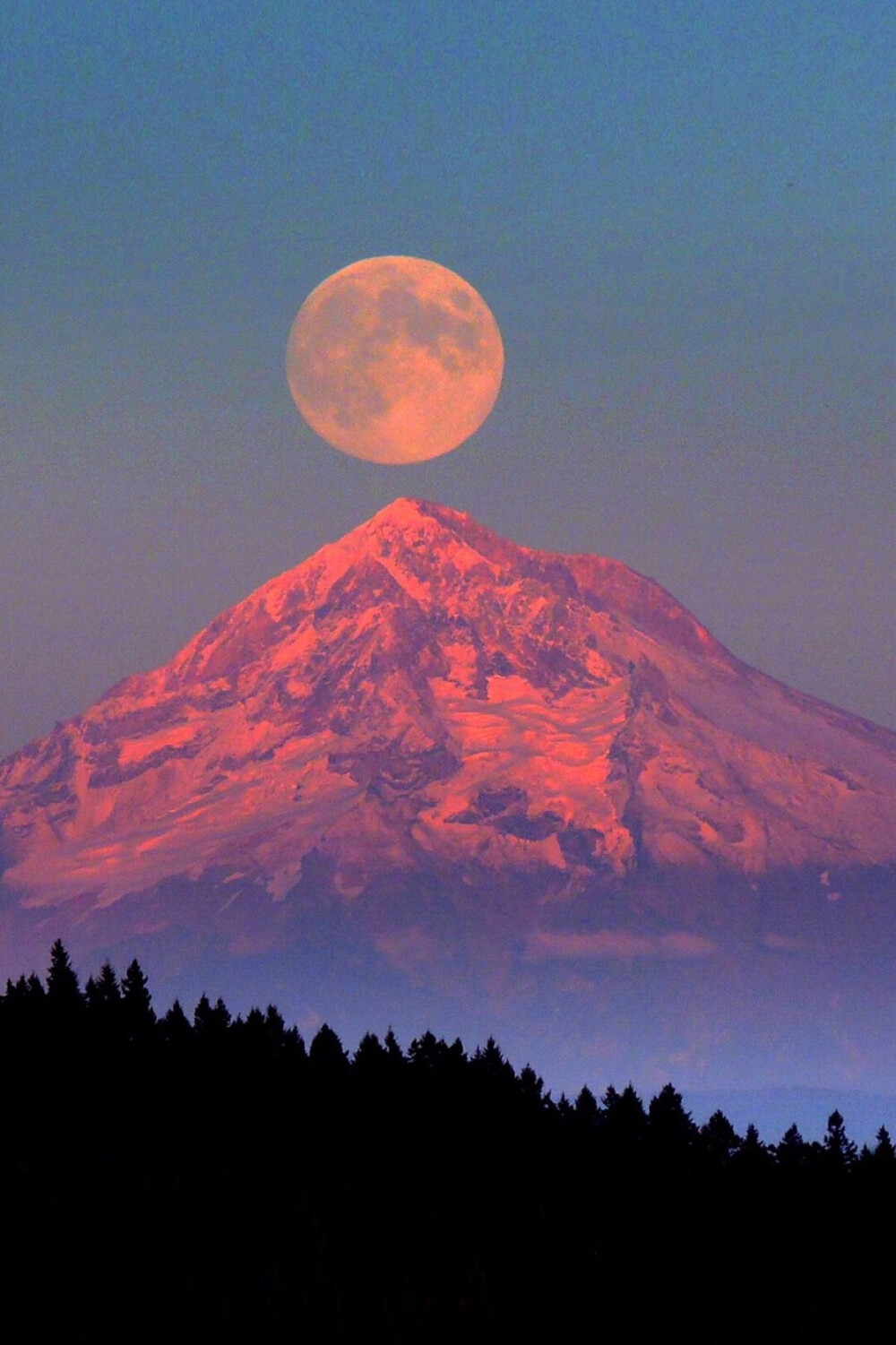 2.超聲波焊機(jī)的原理和工藝？